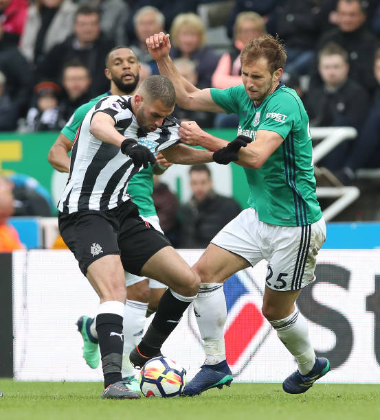 正的赛场环 正的赛场环