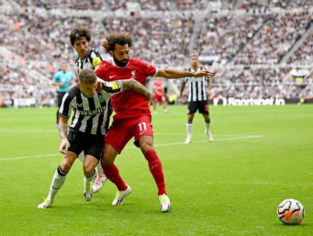 表面的慈善 表面的慈善